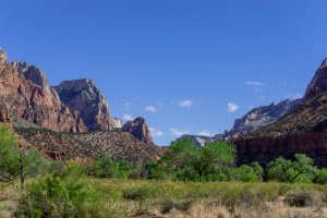20210428ZionNP_D1004.jpg